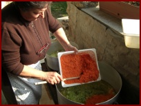 Clicca sul nome per scaricare le foto